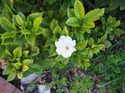 Bellevue Accommodation - Accommodation Whitsundays 21