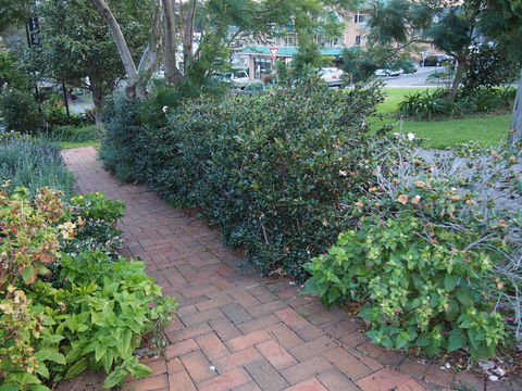 Bellevue Accommodation - Accommodation Whitsundays 22