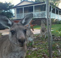 Bush  Bay Cottage - Accommodation Whitsundays