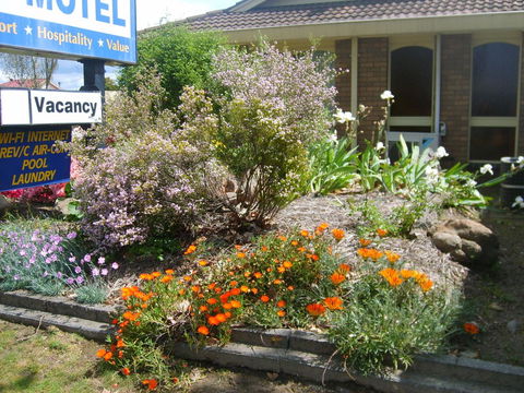 Albury City Motel - Accommodation Whitsundays 29