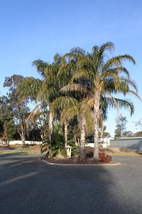Temora Motel - Accommodation Whitsundays 6