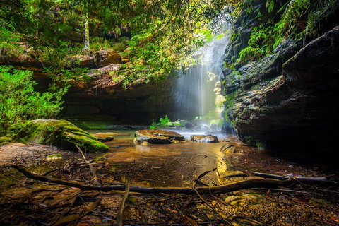 Sky Rider Motor Inn - Accommodation Whitsundays 23