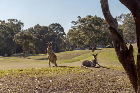 Horizons Retreat & Golf, Villa 133 - Accommodation Whitsundays 18