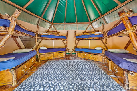 Arts Factory By Nomads - Accommodation Whitsundays 4