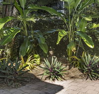 Nineteen on Nudl - Accommodation Whitsundays