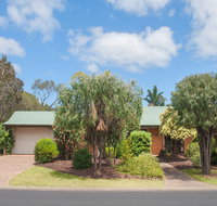 Bottlebrush - Accommodation Whitsundays