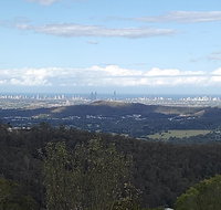 Bottletree Gardens - Mini Manson Blue