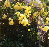 Bowral Road Bed and Breakfast - Accommodation Whitsundays