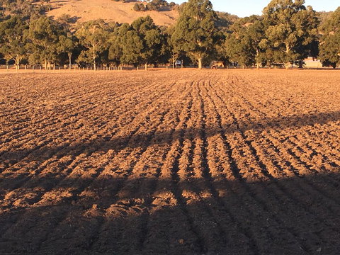 Braybrook Boutique BnB - Accommodation Whitsundays 1