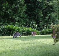 Bundanoon 2578 - Accommodation Whitsundays