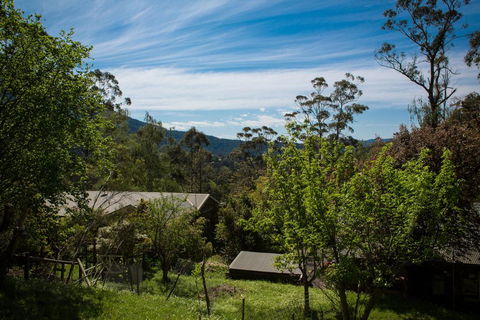 Buttercup Hill - Accommodation Whitsundays 2