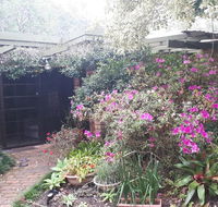 Charming country house close to Grafton - Accommodation Whitsundays