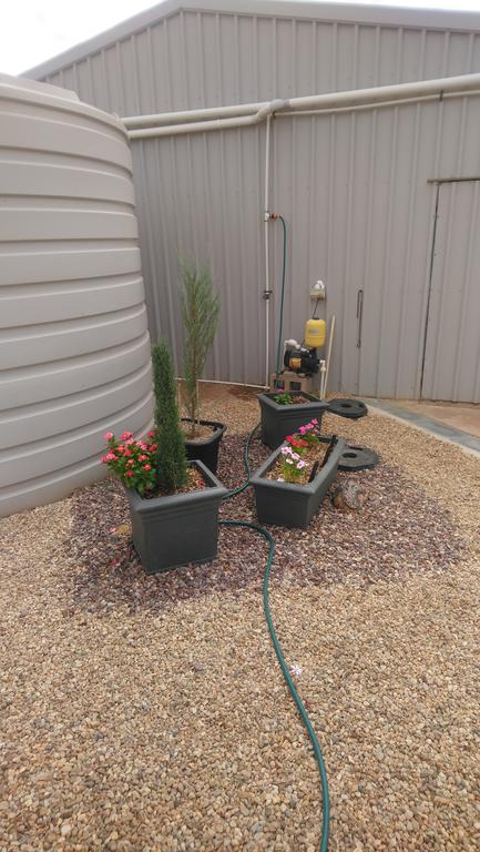 Chrissie's Dongara - Accommodation Whitsundays 2