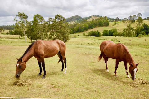 Country Breeze Farm Stay - Accommodation Whitsundays 1