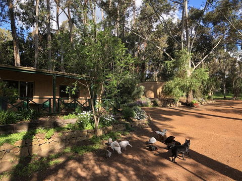 Country Cottages Of Bridgetown - Accommodation Whitsundays 1
