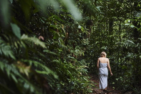 Daintree Ecolodge - Accommodation Whitsundays 2