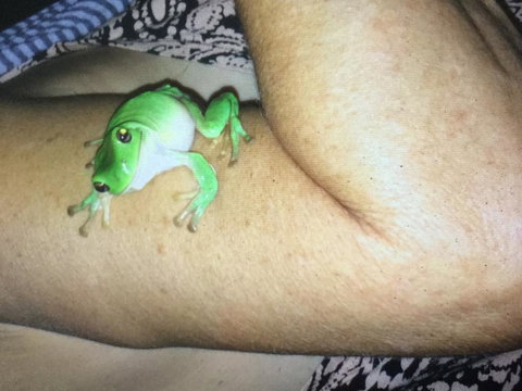 De Shed Shannonvale - Accommodation Whitsundays 1