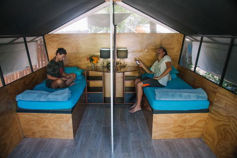 Dougies Backpackers Resort - Accommodation Whitsundays 3