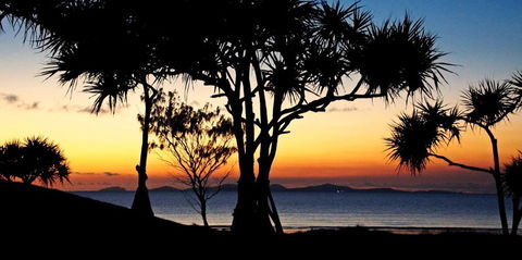 Driftwood Motel And Holiday Units - Accommodation Whitsundays 2