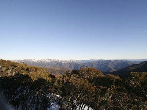 Elkhorn 7 - Accommodation Whitsundays 0