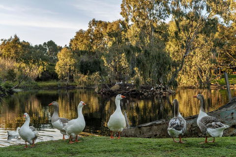 Empire Spa Retreat - Accommodation Whitsundays 2