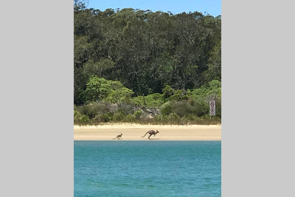 Boolijah NSW Accommodation Whitsundays