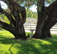 Farm Stay Studio - Accommodation Whitsundays