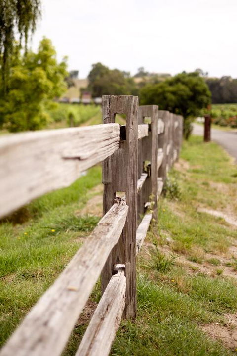 Fergusson Winery Homestead Accomodation - Accommodation Whitsundays 3