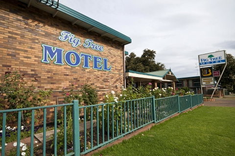 Fig Tree Motel - Accommodation Whitsundays 2