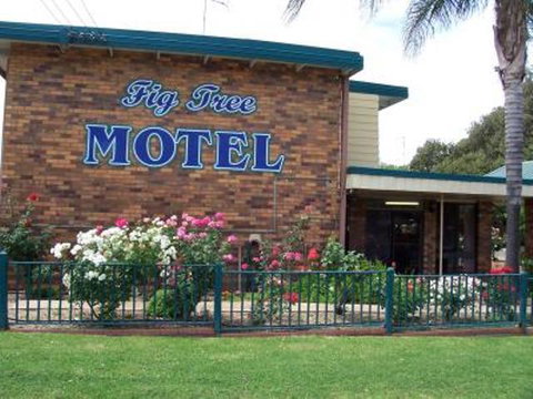 Fig Tree Motel - Accommodation Whitsundays 1