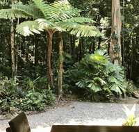 Forest Views Daintree - Accommodation Whitsundays