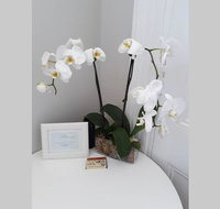 Gawler Heritage Accommodation - Accommodation Whitsundays