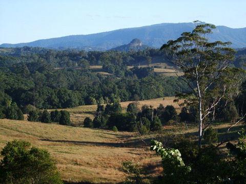 Grey Gum Lodge - Accommodation Whitsundays 0