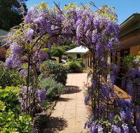 Gumtree House Montville - Accommodation Whitsundays