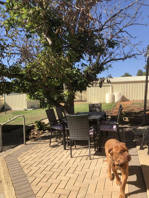 Happy Hours - Accommodation Whitsundays 2