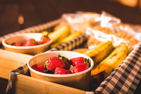 Malanda Lodge - Accommodation Whitsundays 3