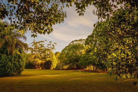 Malanda Lodge - Accommodation Whitsundays 1