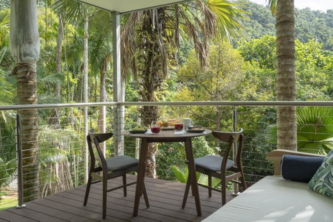 Mist At Cape Tribulation - Accommodation Whitsundays 2