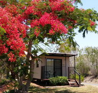 Mt Larcom Tourist Park - Accommodation Whitsundays