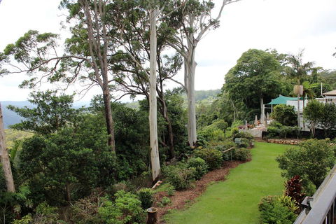 Mt Tamborine Motel - Accommodation Whitsundays 2