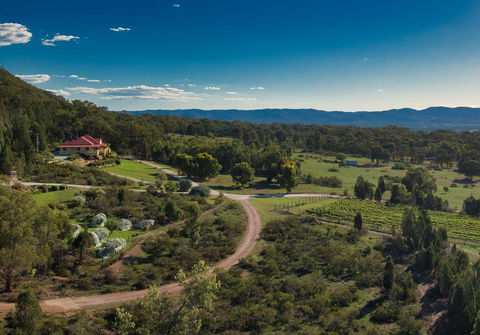 Mudgee Homestead Guesthouse - Accommodation Whitsundays 1