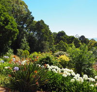 Murrindindi - Accommodation Whitsundays