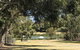Blue Lake Family Retreat - thumb 30