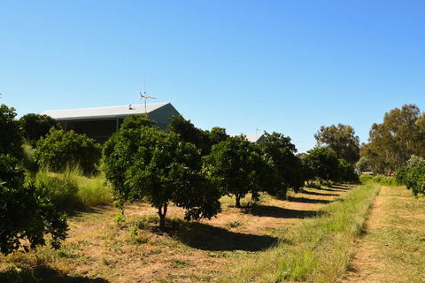 Swan Valley Sisters - Accommodation Whitsundays 29