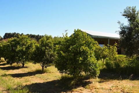Swan Valley Sisters - Accommodation Whitsundays 30