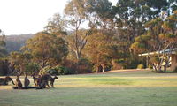 Book Walpole Accommodation Vacations Accommodation Whitsundays Accommodation Whitsundays