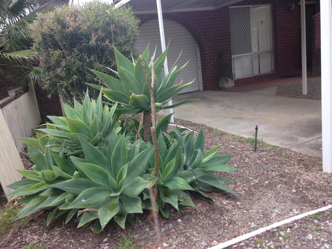 â˜… Stylish Family Home! â˜… - Accommodation Whitsundays 2