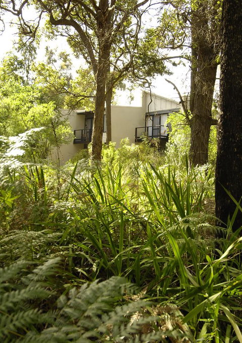 Margarets Forest - Accommodation Whitsundays 41
