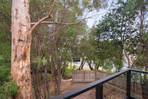 Margarets Forest - Accommodation Whitsundays 12