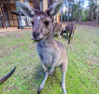 Yelverton Brook Eco Spa Retreat  Conservation Sanctuary